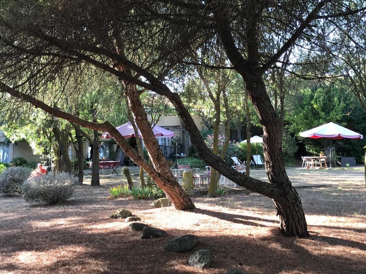 Au Bord De Thau Acomodação com café da manhã Marseillan  Exterior foto